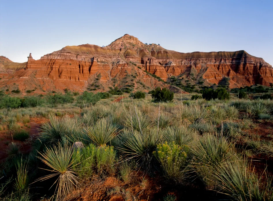 Texas Panhandle landscape